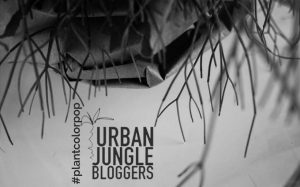 Urban Jungle Bloggers - Pop color Plant, colour bunt, Pflanze, grün knallig, frisch, lebendig, aktion Bloggeraktion,