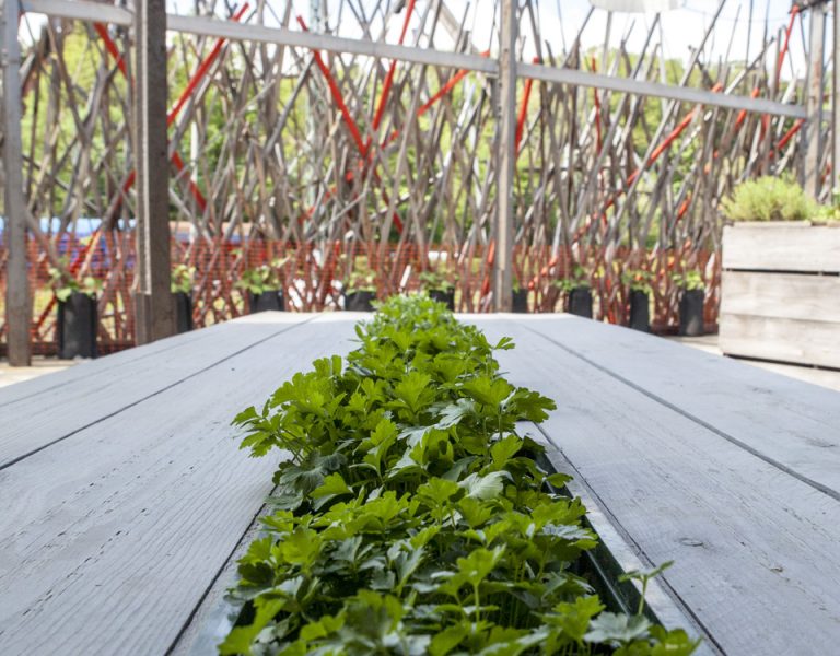 29 Coburger Designtage - Innenarchitektur, Produktdesign, Handwerk